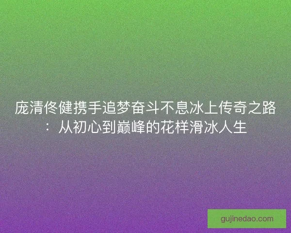 庞清佟健携手追梦奋斗不息冰上传奇之路：从初心到巅峰的花样滑冰人生