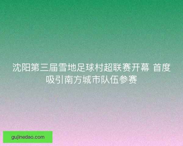 沈阳第三届雪地足球村超联赛开幕 首度吸引南方城市队伍参赛
